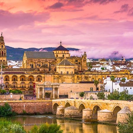 Apartamento La Muralla De San Lorenzo Córdoba Exteriör bild